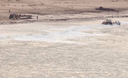 recogiendo algas en playa de Comillas
