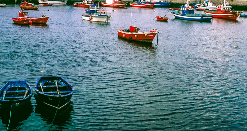barcos tipicos de galicia.jpg