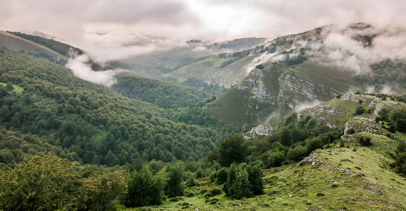 Montañas y bosques de Cantabria.jpg