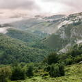 Montañas y bosques de Cantabria