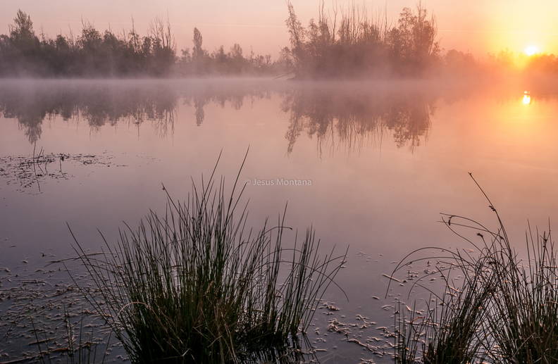 Neblina matinal en el lago.jpg