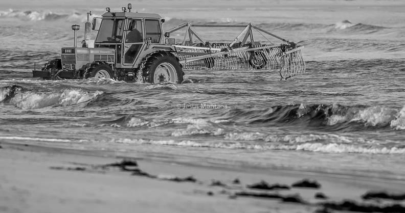 Tractor recogiendo algas de la playa
