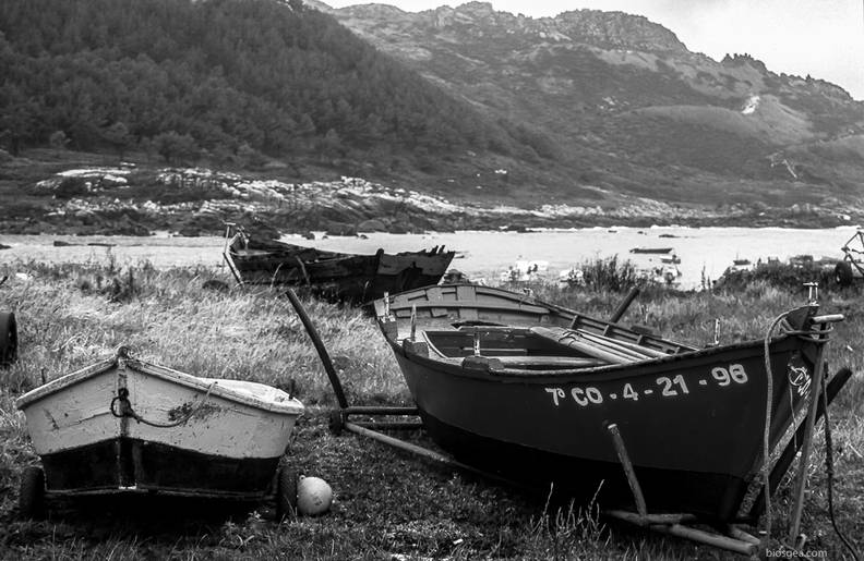 Barcas en Galicia.jpg